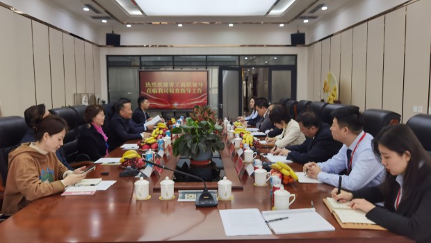 甘肃省委统战部副部长、省工商联党组书记苟天宏一行莅临兰州BG视讯集团检查指导事情
